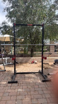 Fly bird squat and bench rack