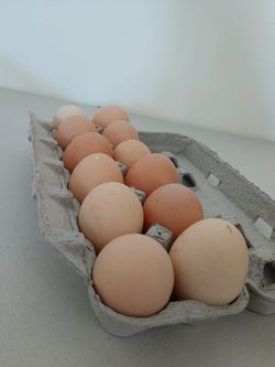 Eggs