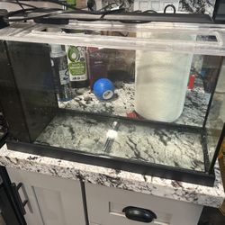 Fluval Spec V 