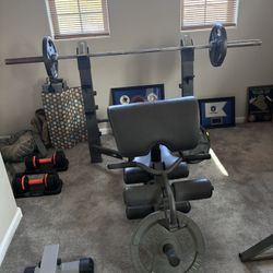 Bench Press With Weights Bar Included 