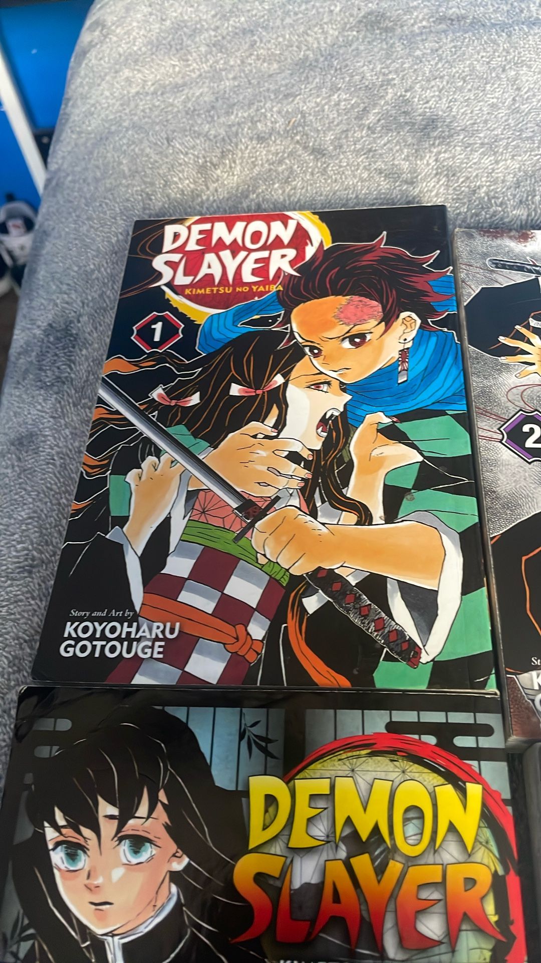 Demon Slayer Books