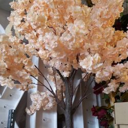 2 Cherry blossom tree