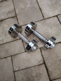 Vintage performax 20lb dumbbells