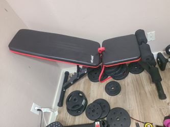 Exercise Bench