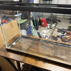 29 Gallon Fish Tank 