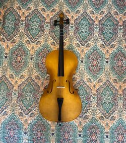Beginner Cello