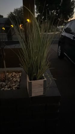 Artificial plant