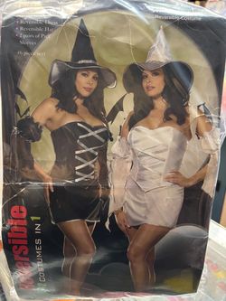 New, Women’s Plus Size Reversible 2 Costumes in one. Package says it’s size 3X/4x but looks more like a 2X/3X