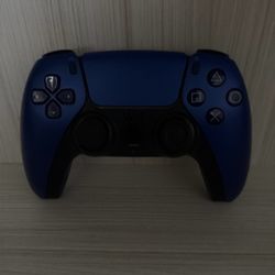Stick Drift  Ps5 Controller