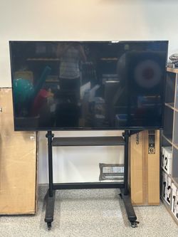 65” Vizio TV w/Rolling Stand