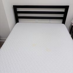 Queen sized bedframe