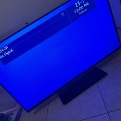 Tv 44 Inches Obo