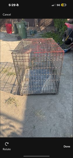 Dog Cage 