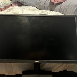 Dell Computer Monitor 