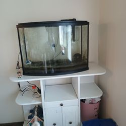 Full Aquarium Set Up With Stand