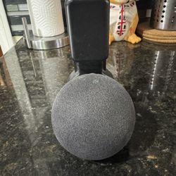 Alexa Echo Dot