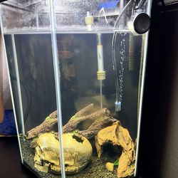 20 Gallon Fish Tank
