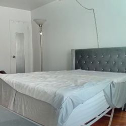 Queen Velvet Upholstered Nail Head Headboard