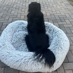 Plush Gray and White Dog Bed