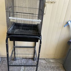 Bird Cage