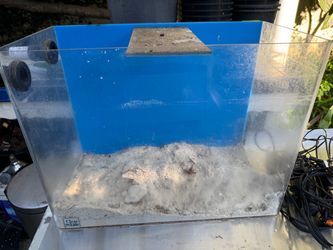 Clear Acrylic Sheet with Blue Protective Film