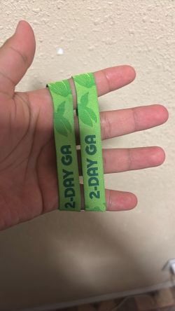 Daytrip $330
