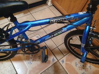 20"bike