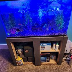 30 gal Fish tank with filter supplies