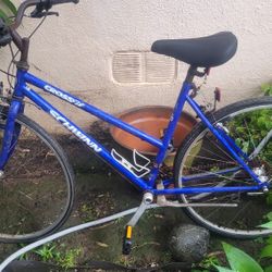 Schwinn  Crossfit Bike