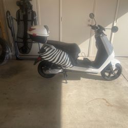 Scooter Zebra Electric 