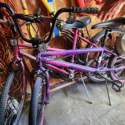 2 Female Bikes