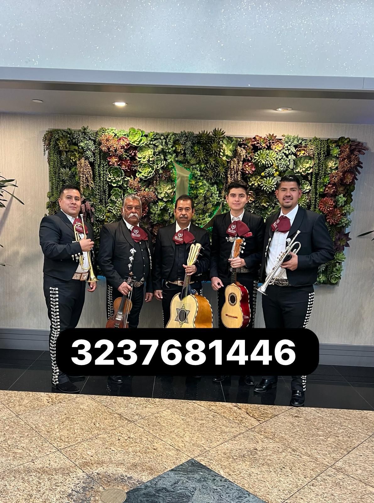 Vihuela Violín Mariachi