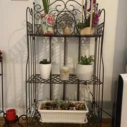 Plant stand