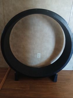 One Fast Cat exercise wheel