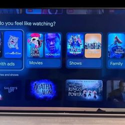 Sony Bravia 65inch Television 