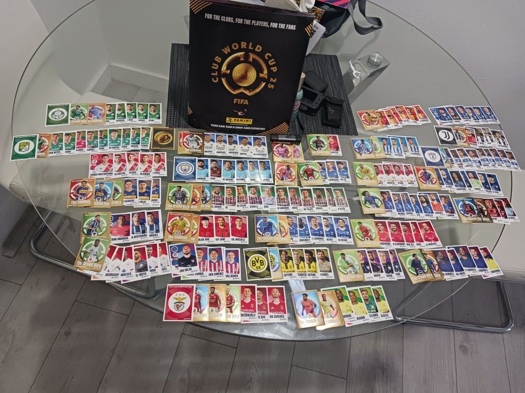 Panini Sticker Album