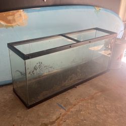 55 Goal Fish Tank