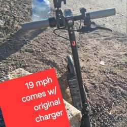 Maxspeed Adult Scooter 