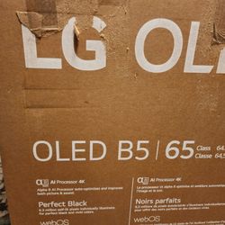 TV LG OLED 65 (B5).