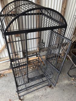 Parrot Cage