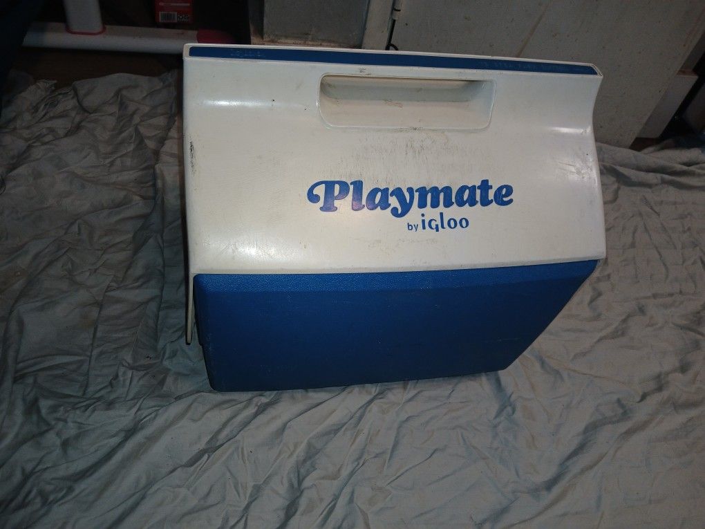 IGLOO PLAYMATE COOLER