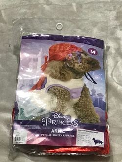 Dog Halloween costume