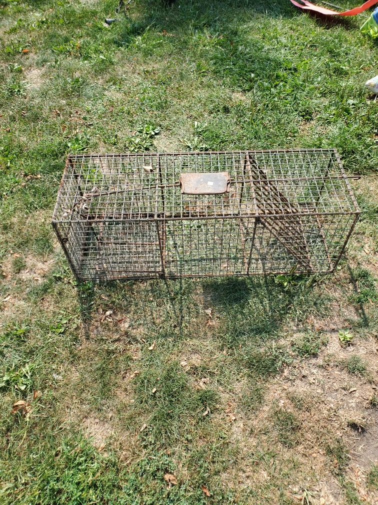 Live trap