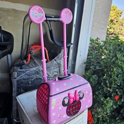 Disney Pet Carrier