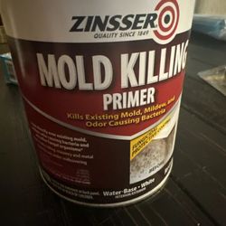 Mold Killing Primer Paint