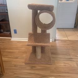 Cat Stand 