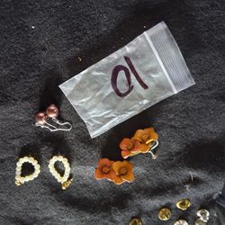 Earrings Lot