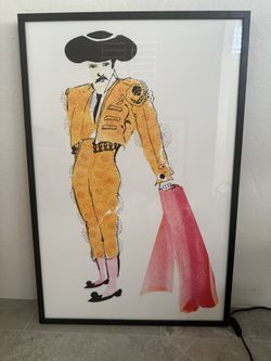 Cool Matador Framed Print