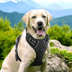 🐾 Rabbitgoo Dog Harness, Large
