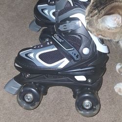 Light up Roller skates brand new never used